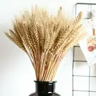 Натуральные пшеничные уши, настоящие цвета, сушеные цветы, букет, свадебное украшение для комнаты, украшение для вечеринки, искусственные цветы, аксессуары
