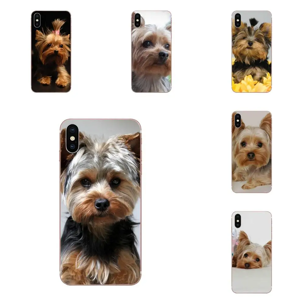 Чехол для мобильного телефона йоркширский терьер собака щенок Apple iPhone 4 4s 5 5C 5S SE 6 6S