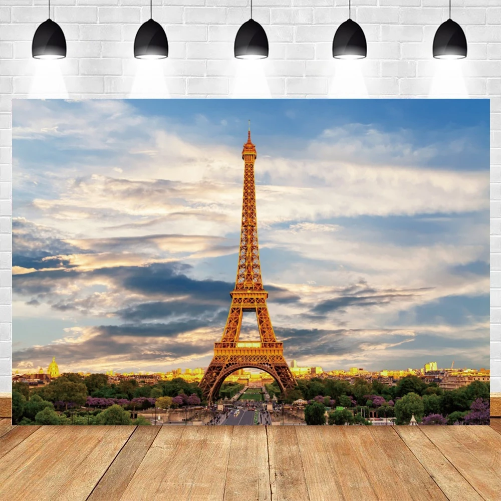 

Eiffel Tower Backdrop Sky Cloud Scene City Scenery Photographic Vinyl Photography Background Photo Studio Photozone Photophone