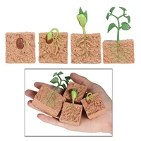 kids plant seeds growth life cycle playset cognitive toys teaching aids