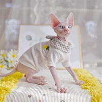 pineapple style spring summer hairless cat clothes fashion sphinx kitty wearing comfort sphynx cat outfits