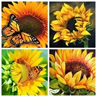 5d алмазная живопись кошачий глаз, мозаика для рукоделия, домашний декор, алмазная вышивка с животными, ручная работа, подарок, настенное искусство