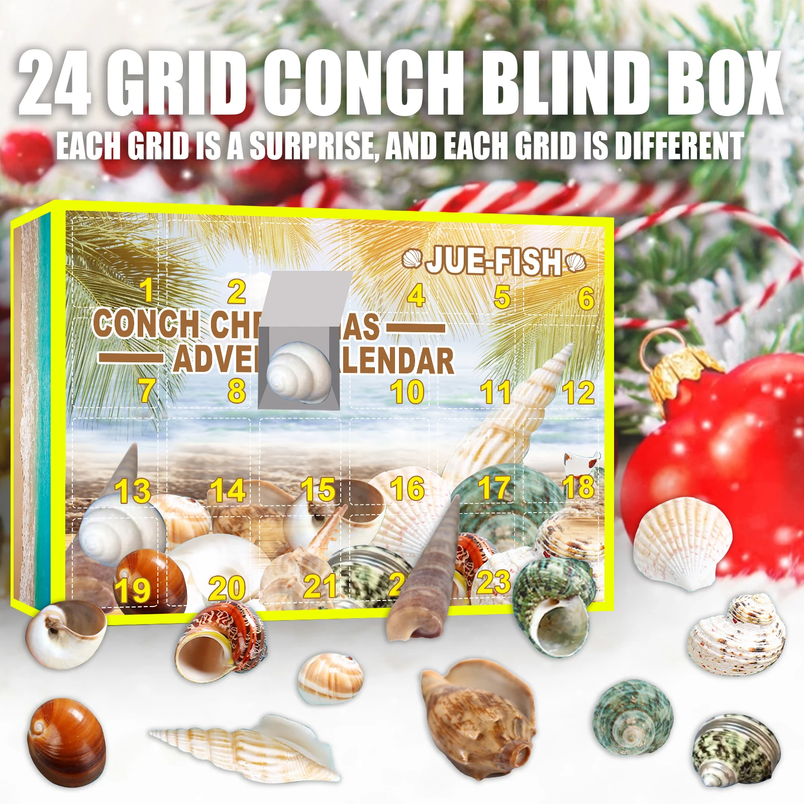 

24 Grid Conch Gift Box Toys Christmas Advent Calendar Mineral Gift Box Early Childhood Education Toys Conch Toys
