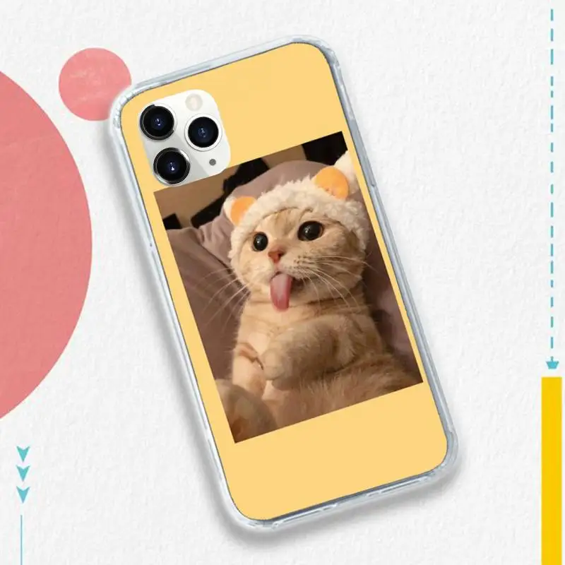 

Aesthetic Cute Animal Cat pattern Phone Case for iPhone 11 12 pro XS MAX 8 7 6 6S Plus X 5S SE 2020 XR