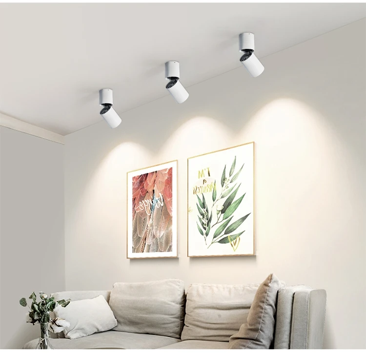 

Dimmable AC110-220V Rotating LED DowNlights 10W 15W 20W Surface Mounted Adjustment COB Ceiling Spot Lights Ceiling Lamp Indoor
