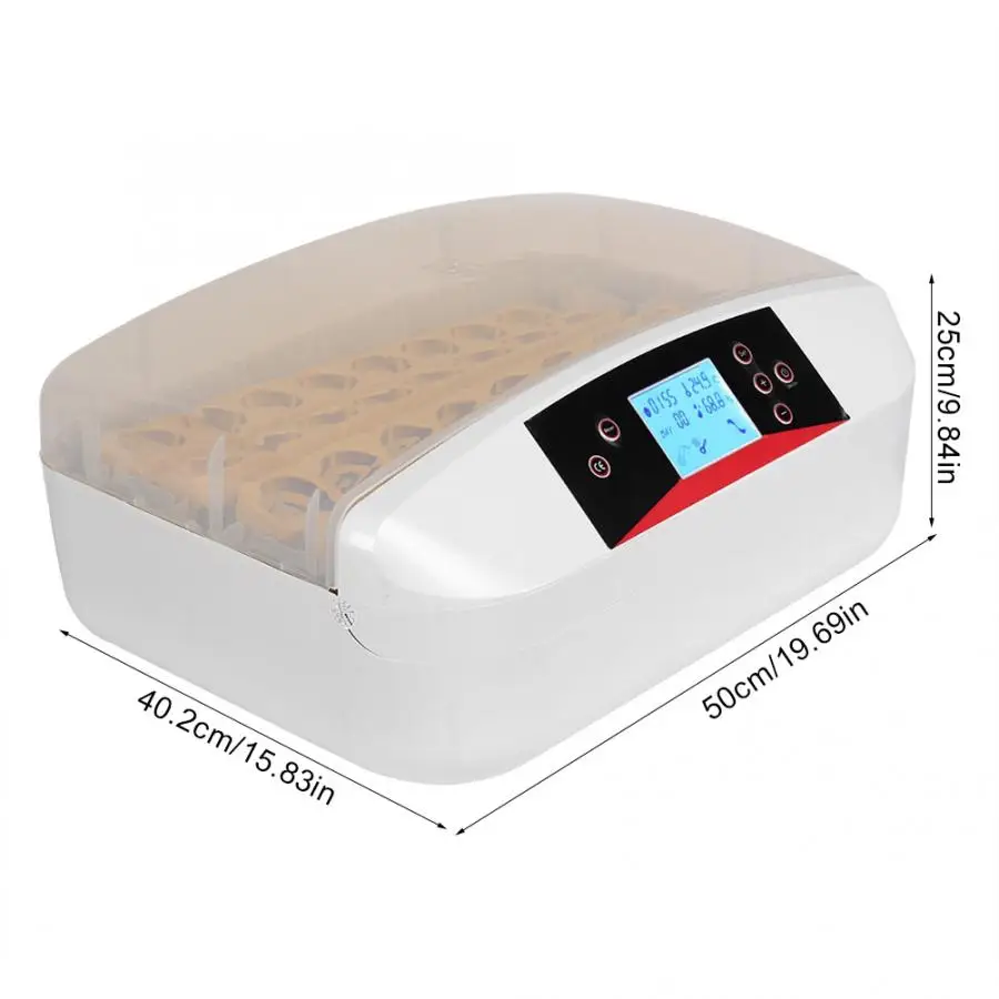 32 яйца одной мощности маленькие домашние цыплята утки птицы полностью