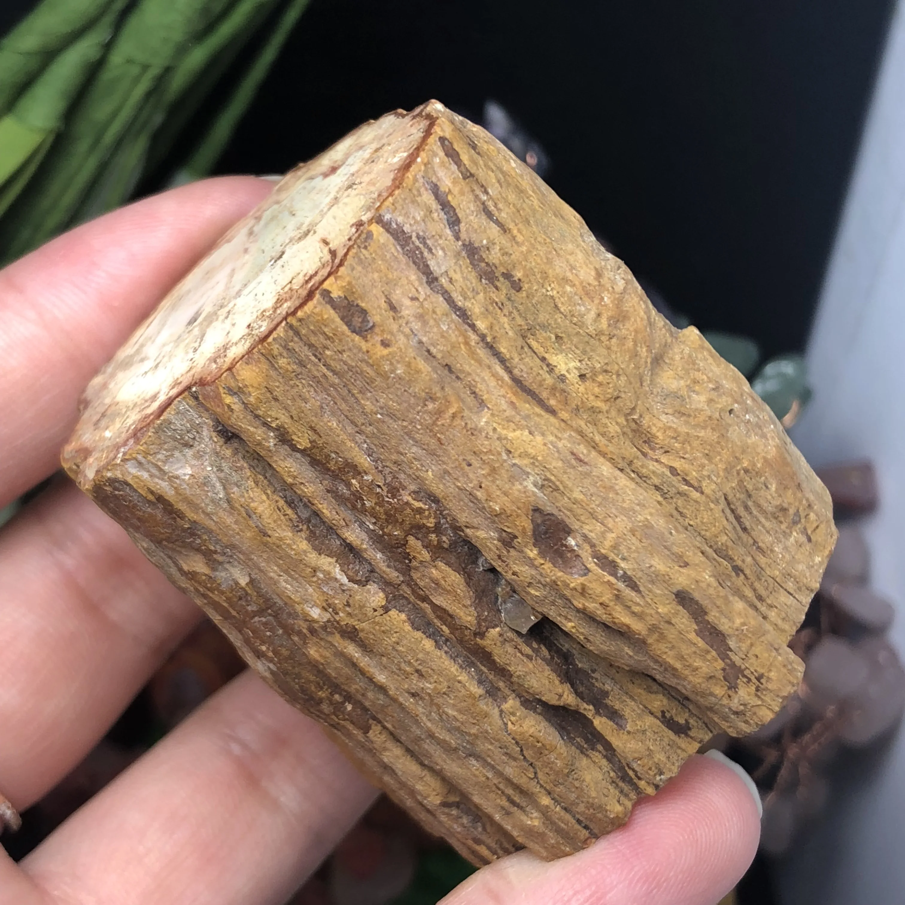 Натуральный окаменевшая древесина оригинальный камень сырой кварцевый минерал