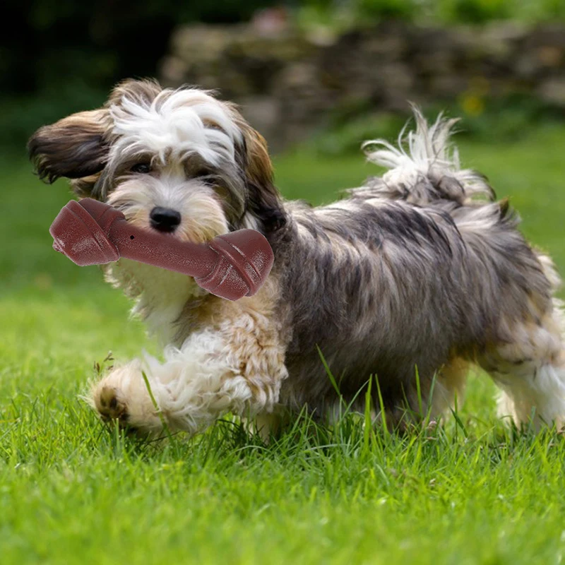 

Pet Dog Chew Toys Creative Rubber Bone Shape Dog Toy Puppy Teeth Cleaning Toy Dogs Squeaky Plaything Pet Training Tools Supplies
