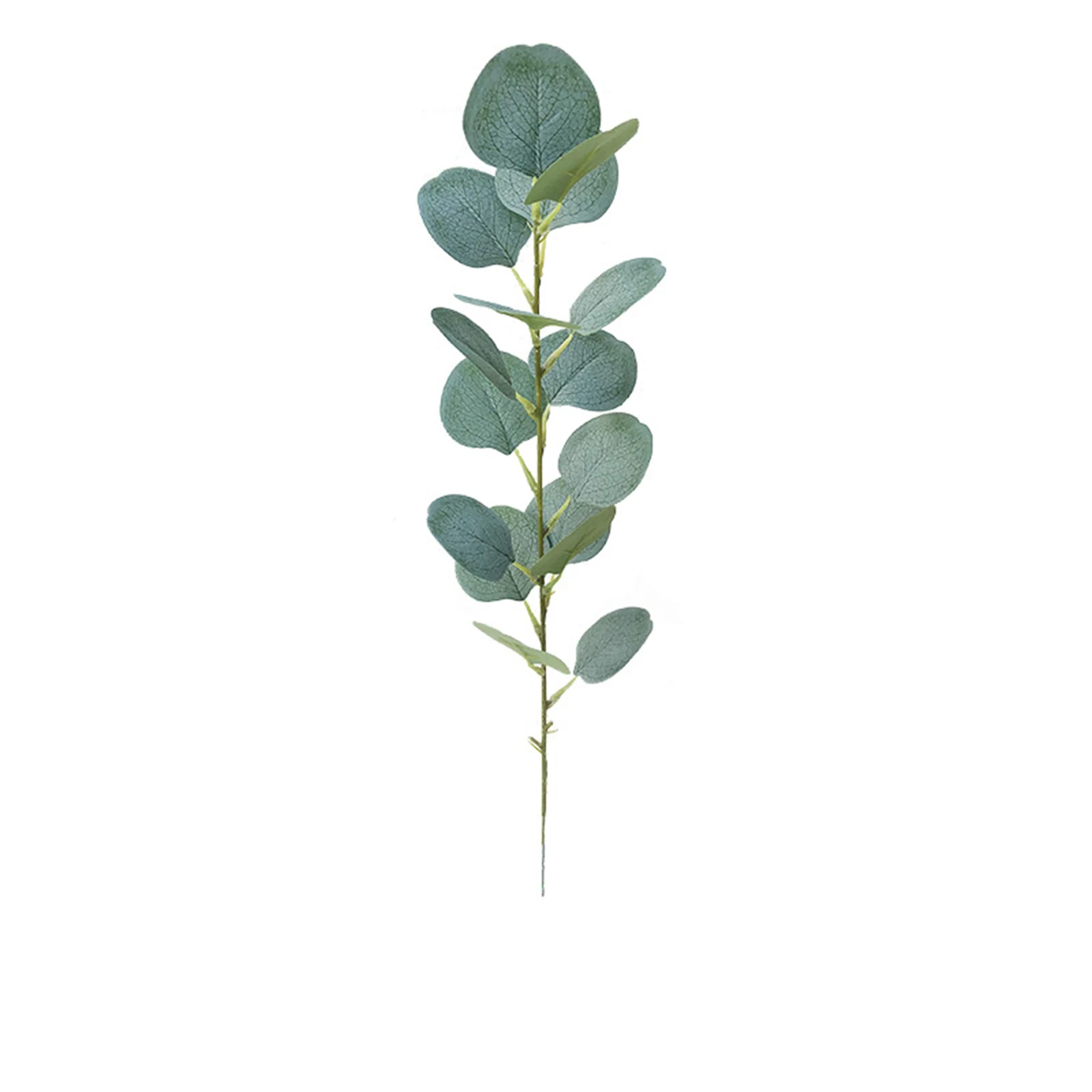 

Immortal Eucalyptus Leaf DIY Wedding Party Decoration Plants Wall Background Round Leaf Single Gold Simulation Eucalyptus Leaf
