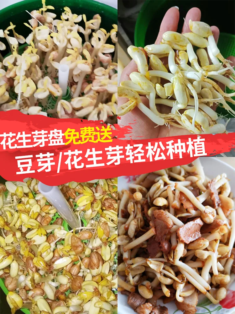 Новые 3 Слои интеллигентая (ый) автоматическая машина для производства бобов