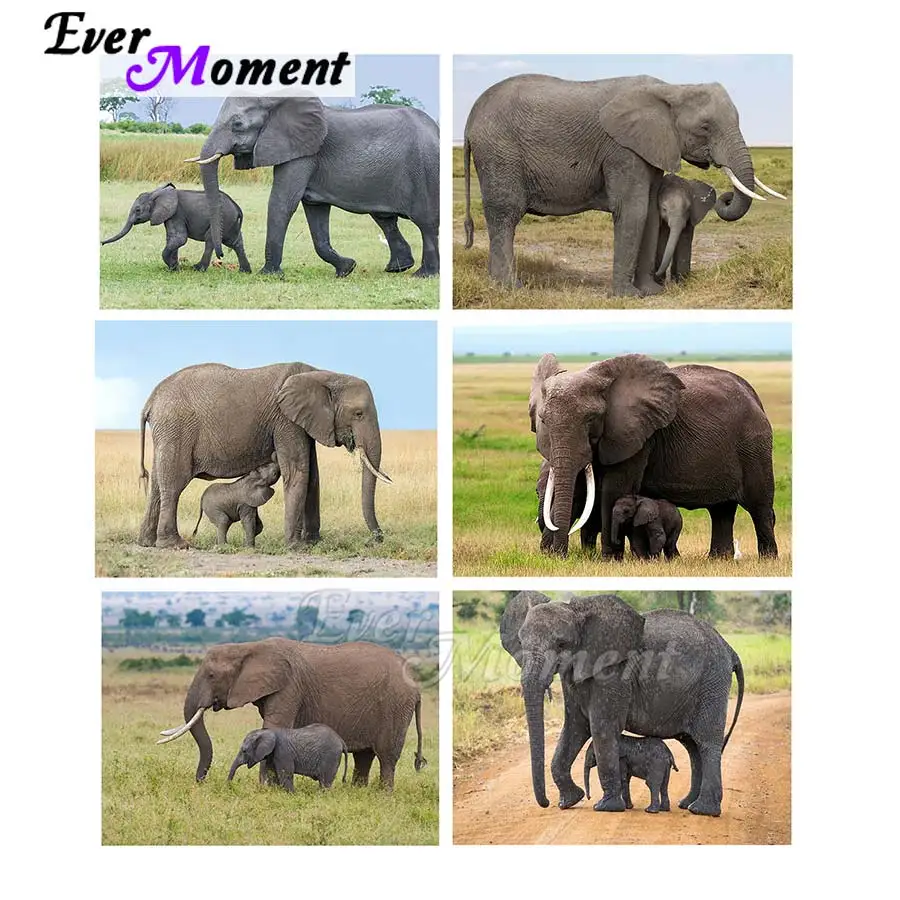 

Ever Moment Diamond Mosaic Painting Cross Stitch Kits Home Decor Protect Animal Nature Cute Elephant Parent Child DIY ASF2348