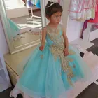 Роскошное кружевное платье для девочки с бусинами и цветами для свадебной вечеринки с круглым вырезом Пышное Бальное платье из тюля детское платье на день рождения для девочки