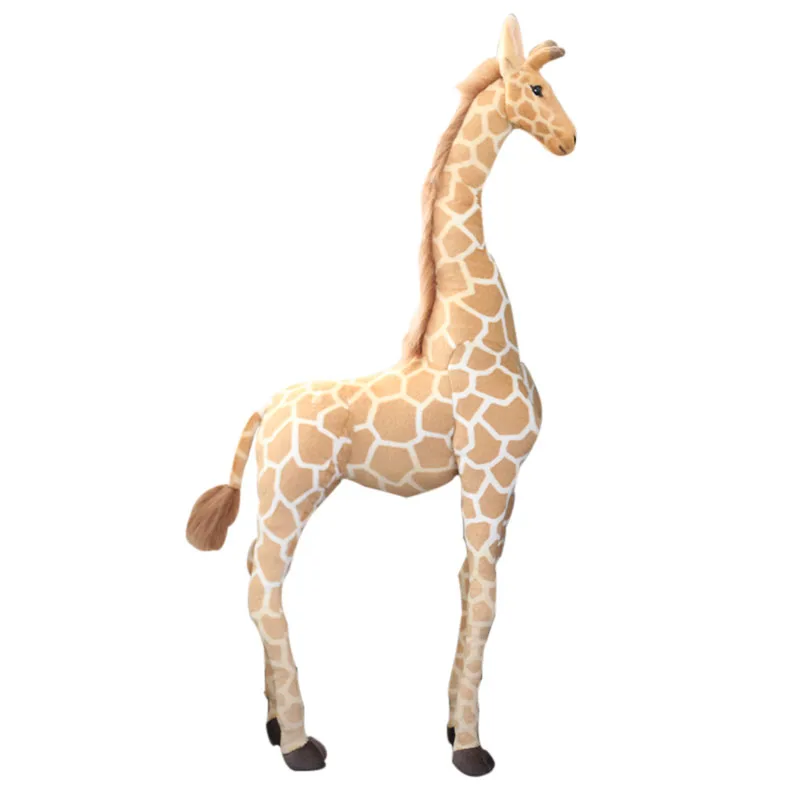 Рисунок 2 - Dorimytrader 55 '' /