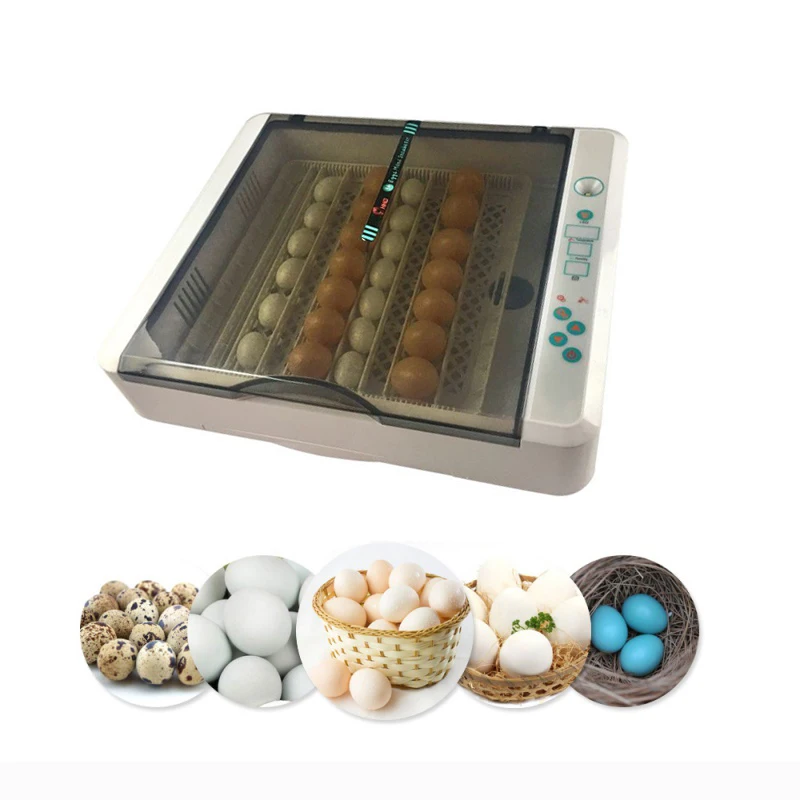 

Full Automatic 36 Chicken Egg Incubator 120 Quail Egg High Capacity Digital Temperature Control Farm Poultry Hatchery Machine