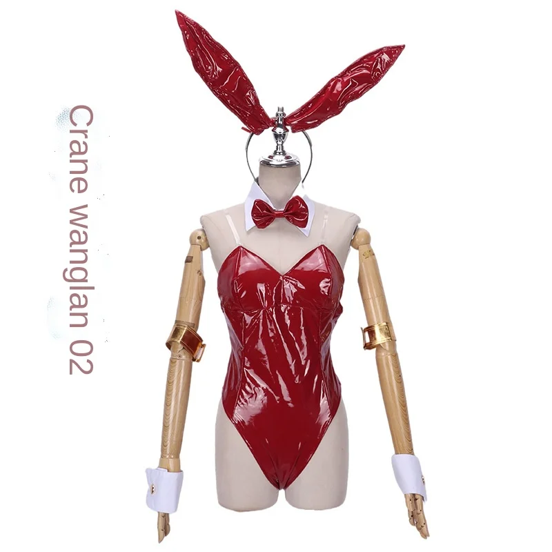 

Anime 002 Cosplay Dresses Sexy Woman Tights Headdress Rabbit Ears Wrist Accessories Arm Accessories Party Costumes