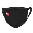 Флаг Дании, одноразовая маска для лица, датская Пылезащитная маска против смога, респиратор, маска для рта