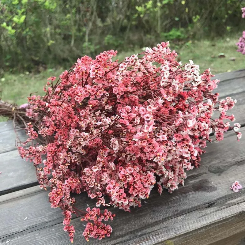 

30CM/30g Natural Fresh Dried Preserved Roses Flowers Bouquet, Crystal Grass,Real Forever Lover Grass Branch For Home Decor