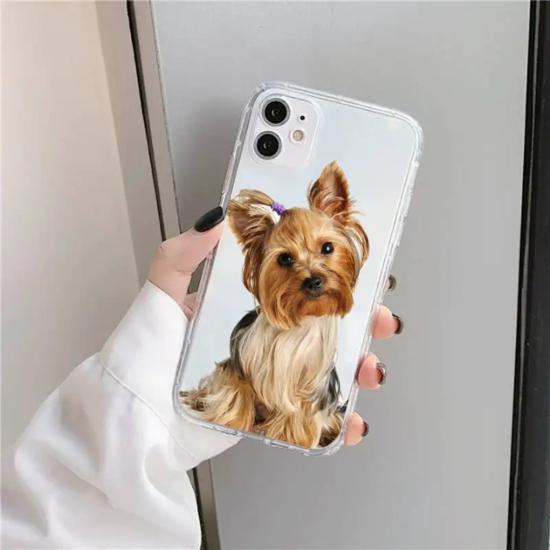 

York shire Terrier dog Phone Case Transparent for iPhone 11 12 mini pro XS MAX 8 7 6 6S Plus X 5S SE 2020 XR