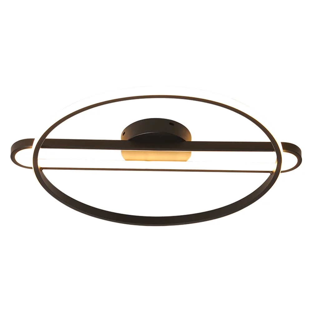 

Scandinavian LED Round Ring Ceiling Light with Remote Nordic Ceiling Lamp Black Metal Lighting for Living Room Bedroom Kitchen
