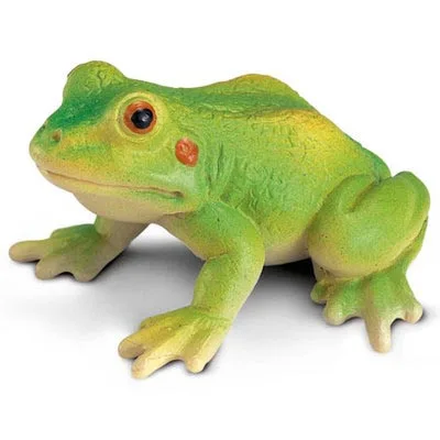 frog Настоящий зоопарк, джунгли, Животные фермы, модель серии 2, петух, коза, утка, Выдра, детские развивающие игрушки для детей, подарок - Цвет: frog