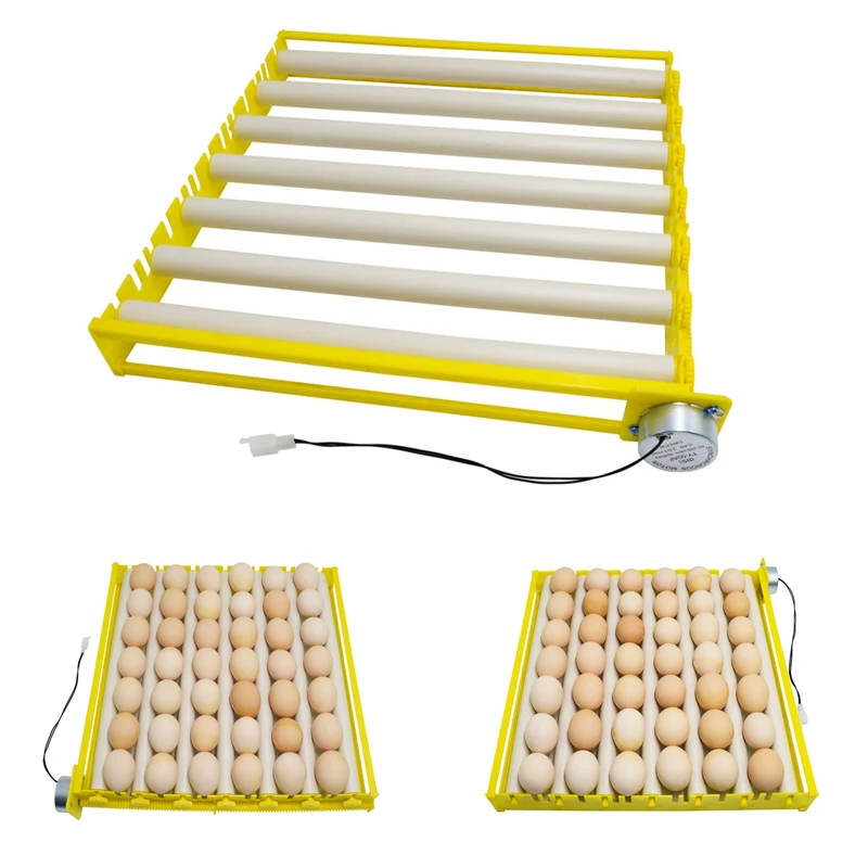 

Вращающаяся Тарелка для яиц на 360 градусов, инструмент для инкубации, утка, перепелов, птица