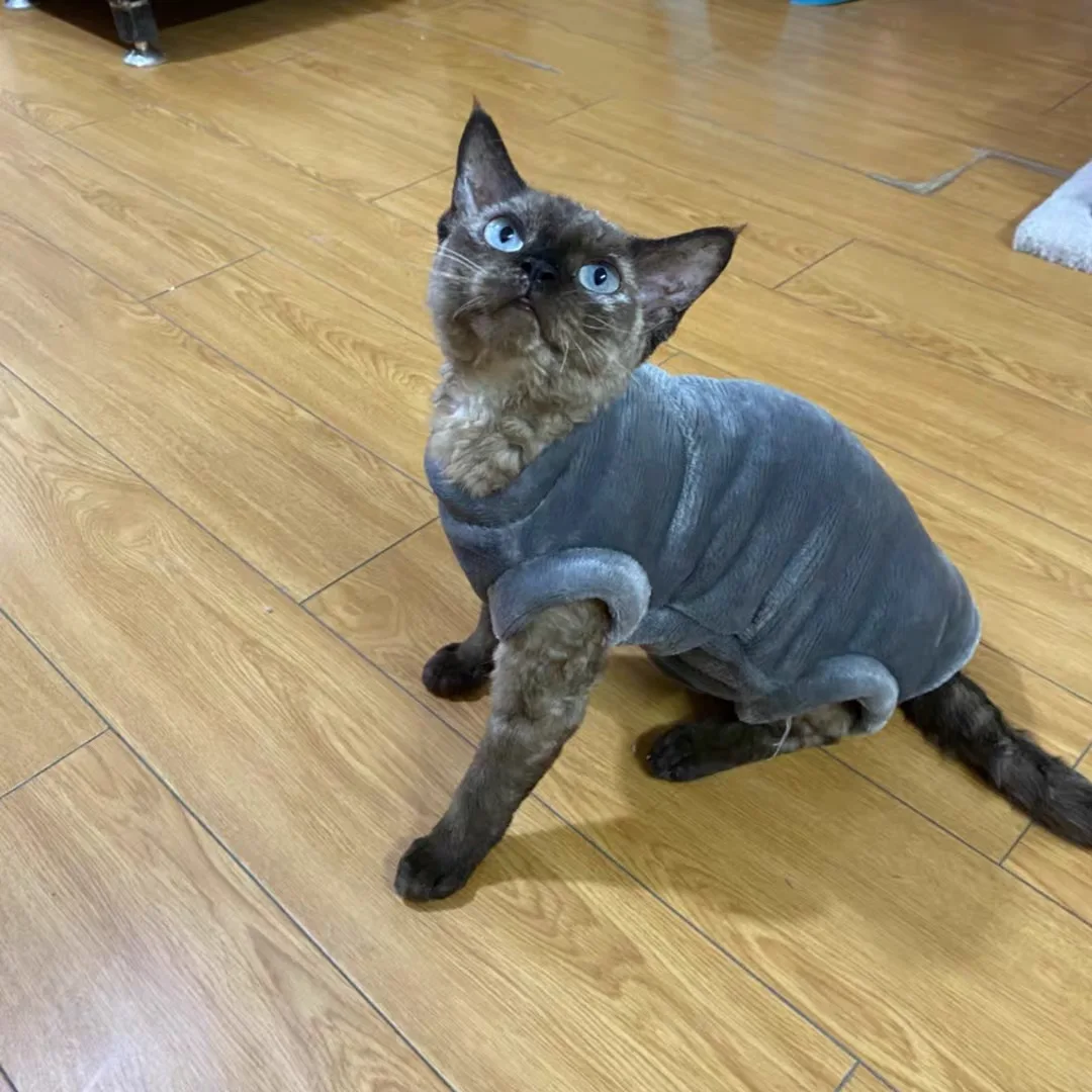 

Sphinx Hairless Cat Clothes Flannel Warm in Winter Hairless Cat Four-legged Clothes Devon Cat Pet Clothes