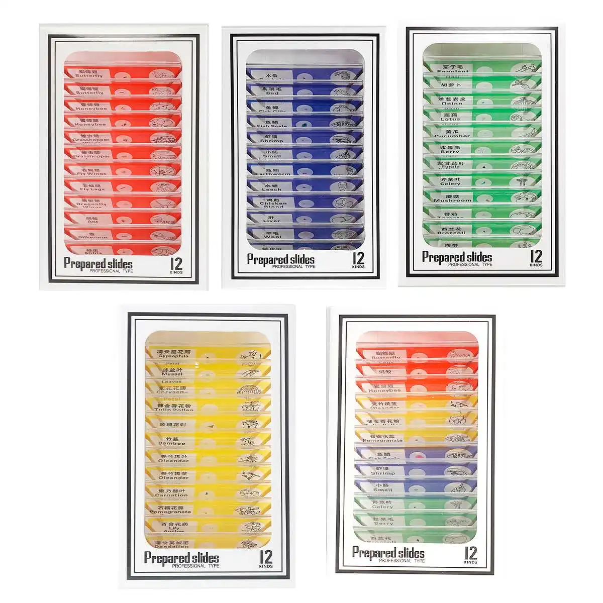 12 шт. набор разнообразных биологических образцов с графической этикеткой