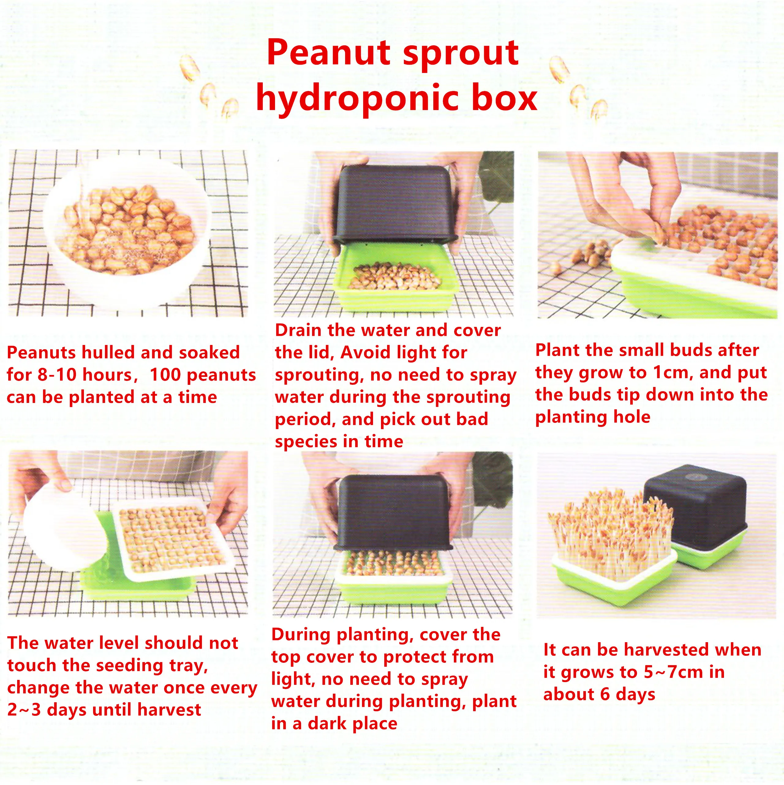 1 Pc Seed Sprout Tray Hydroponic Peanut Sprout Box Bean Pea Wheat Seedling Sprouter Tray Grow Germination Soilless Planting Pot images - 6