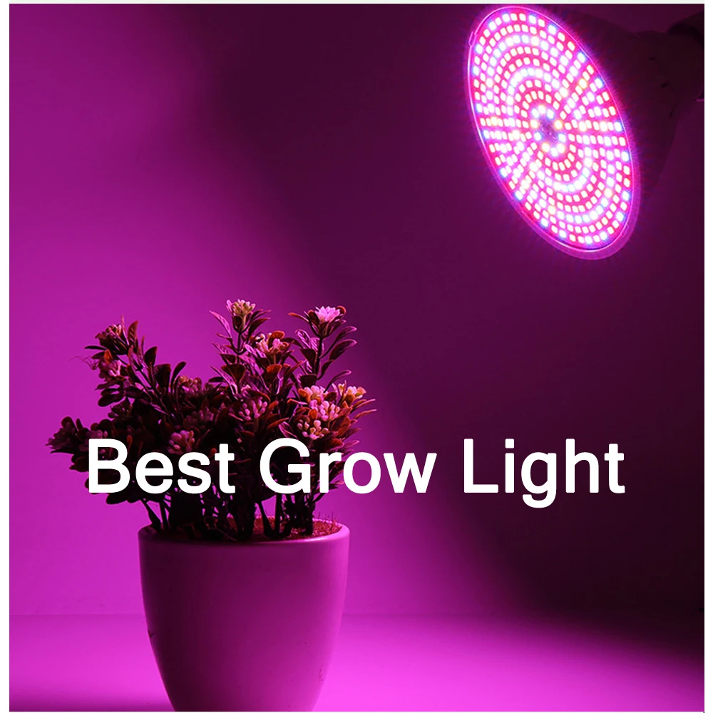 

70W LED Grow Light Full Spectrum 290LED 85-265V Greenhouse Indoor Seedling light Veg Succulent Phyto Lamp Factory Direct Selling