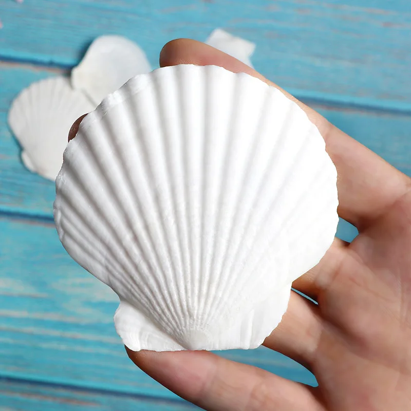 

Нарисованные граффити, картина для барбекю, наклейка на стену, аквариум, для родителей и детей, для детского сада, натуральная раковина из Ср...