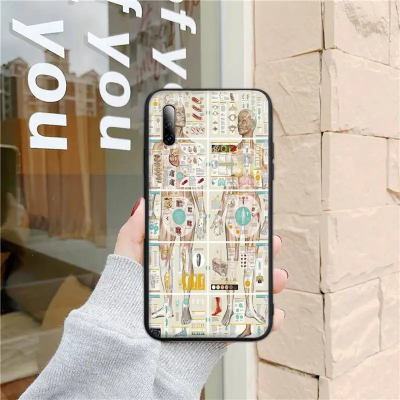 

Medical Human Organs Brain Meridian Art Phone Case for Samsung A02 A52 A12 A8 Plus A9 2018 A10S A20 A30 A50 A70 A72 A32 M02