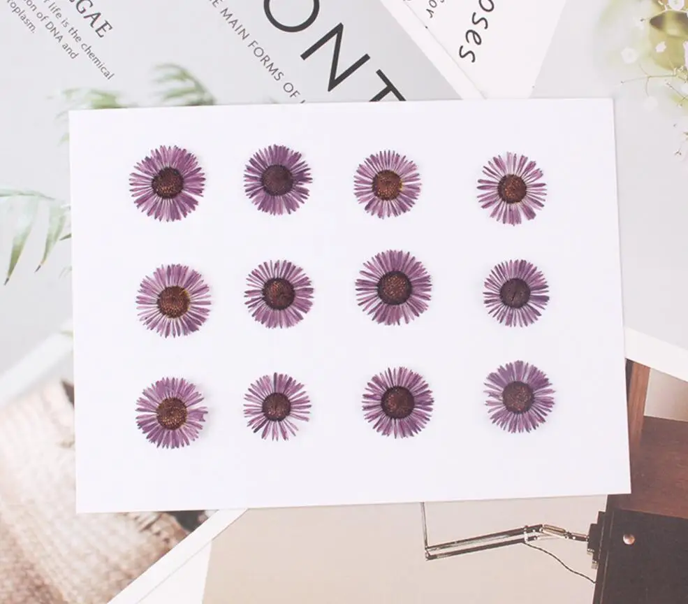 

120pcs Pressed Dried Conyza canadensis Filler Flower For Epoxy Resin Jewelry Making Postcard Frame Phone Case Craft DIY