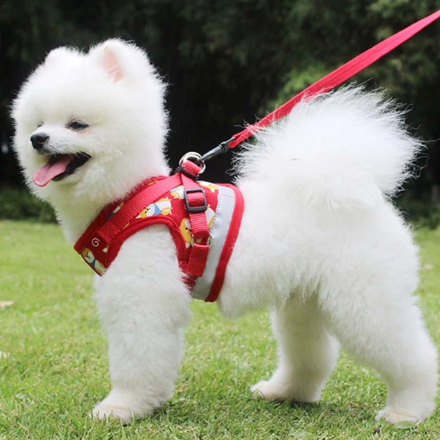 

Puppy Dog Cat Harness Safety Leash Set Pet Adjustable Breathable Vest Dog Harness Vest For Chihuahua Pug Bulldog Teddy