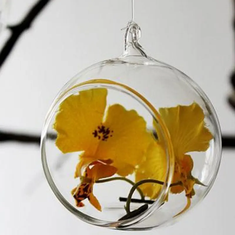 Прозрачная круглая стеклянная ваза подвесной Террариум гидропонный садовый