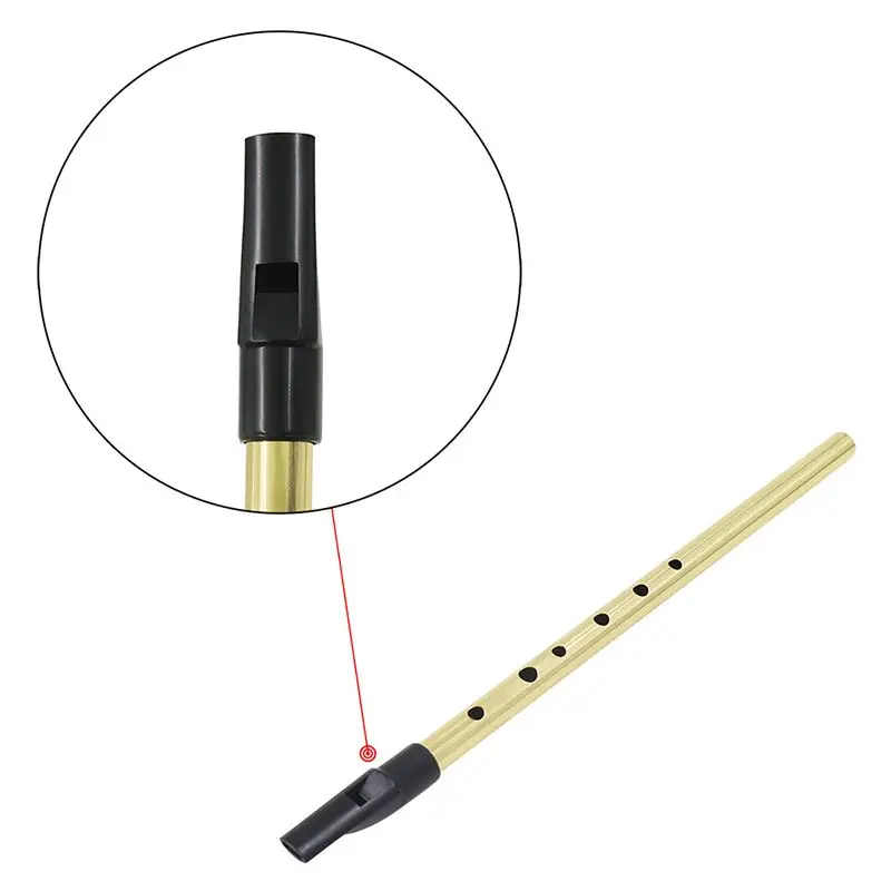 Ирландский свисток ирландский жестяной ключ D Penny 6 отверстий флейта Мини