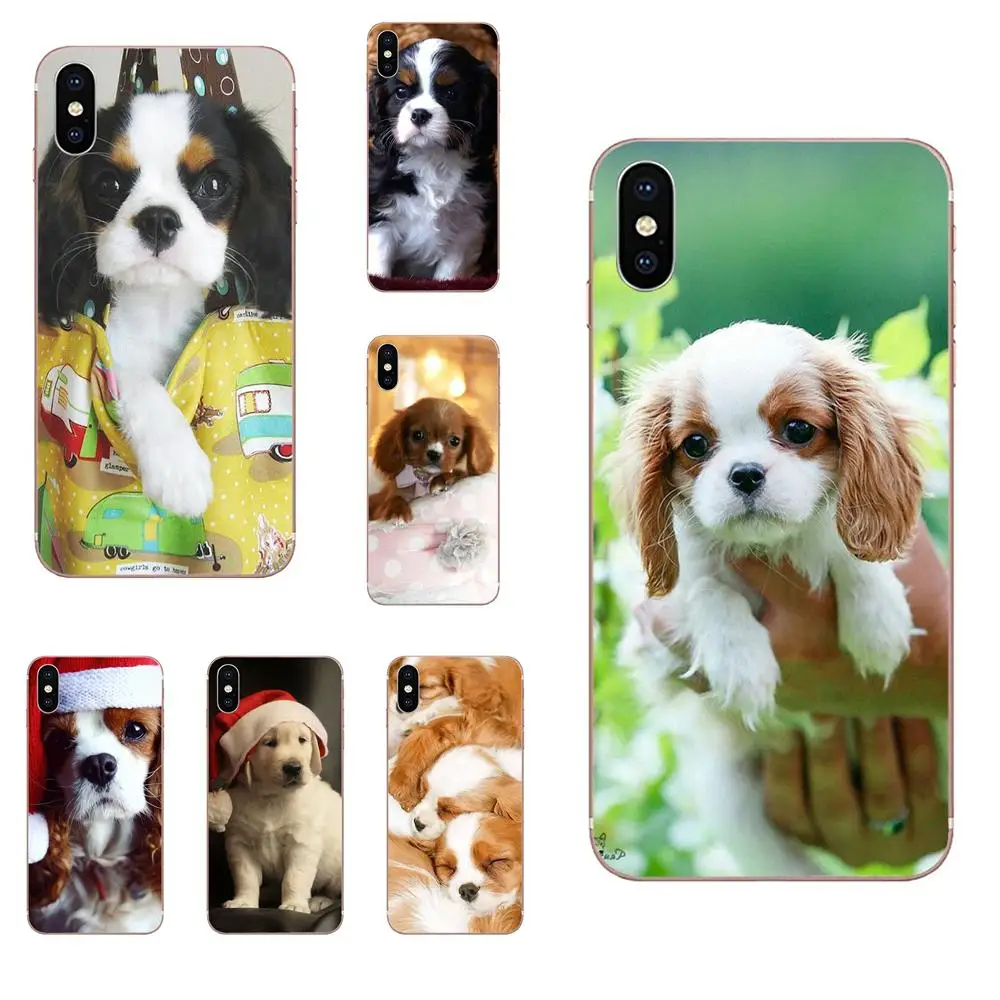 Кавалер King Charles Spaniel щенки собаки для Huawei P7 P8 P9 P10 P20 P30 Lite Mini Plus Pro Y9 Prime P Smart Z 2018 2019 |