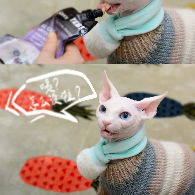 [MPK Store] свитер для кота