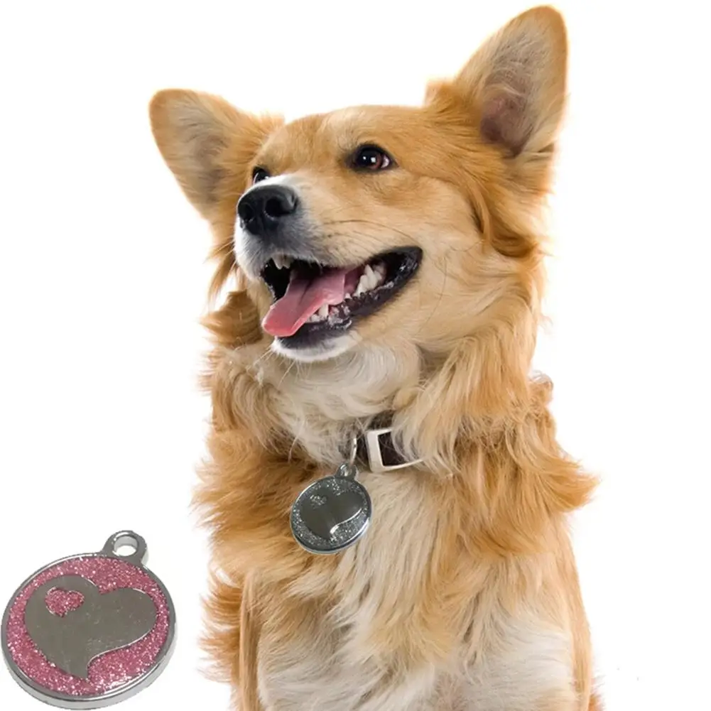 Ожерелье с именной биркой кольцо для ключей подвеска на воротник домашних