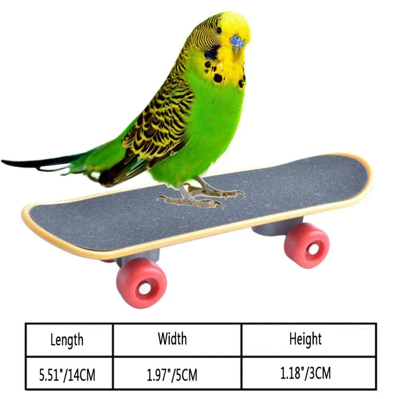 

Pet Bird Toys Parrot Intelligence Mini Skateboard Budgies Parakeet Stand Perch Toy Bird Training Accessories