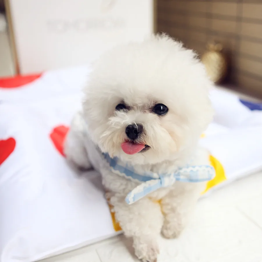 Слюнявчик FSS для домашних животных хлопковый слюнявчик суперстандартного