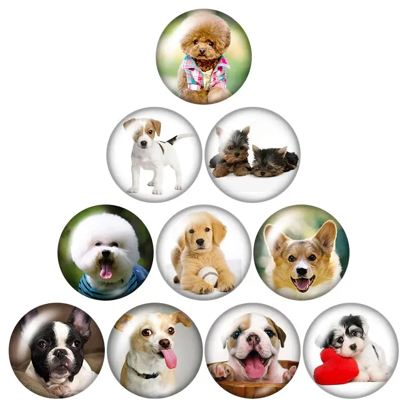 Платье с милой собачкой любимого питомца 18 мм кнопки 10 шт. круглые фото кабошоны