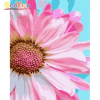 sdoyuno painting by numbers frame pink flower diy modern oil painting handpainted home decor acrylic paint picture coloring kit