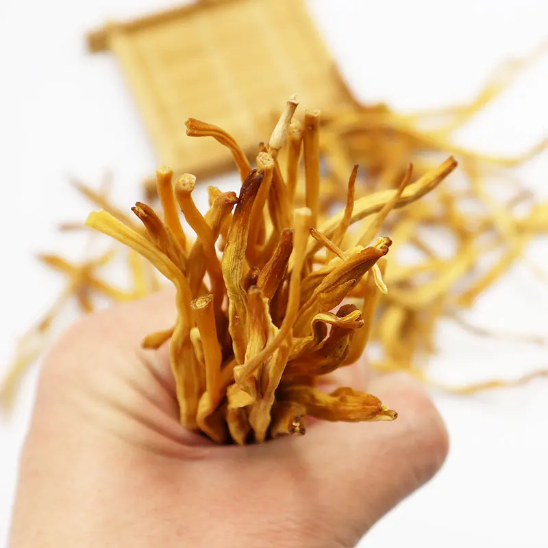 

CHINESE SPECIALTY QUANLITY DRIED LILY FLOWER DAY-LILY BUDS