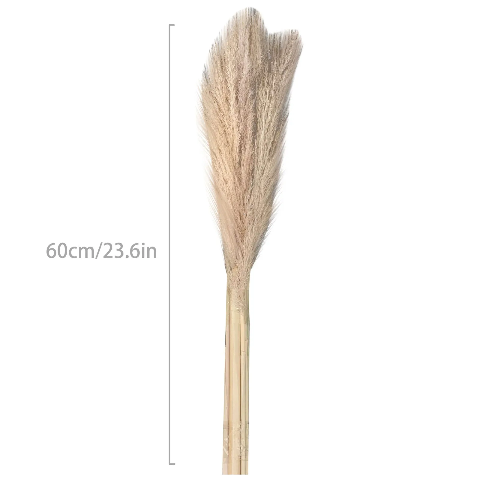 

Bulrush Natural Dried Small Pampas Grass Phragmites Artificial Plants Wedding Dried Flower Bunch for Home Decor Fake Flowers 6/8