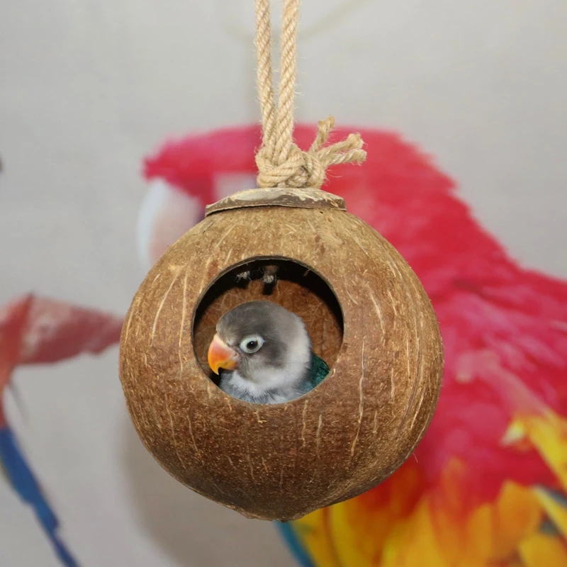 

New Bird's Nest Coconut Nest Funny Durable Coconut Shell Toys Natural Birds Nests Fixed Swing Bed Cave Toy House Parrot Supplies