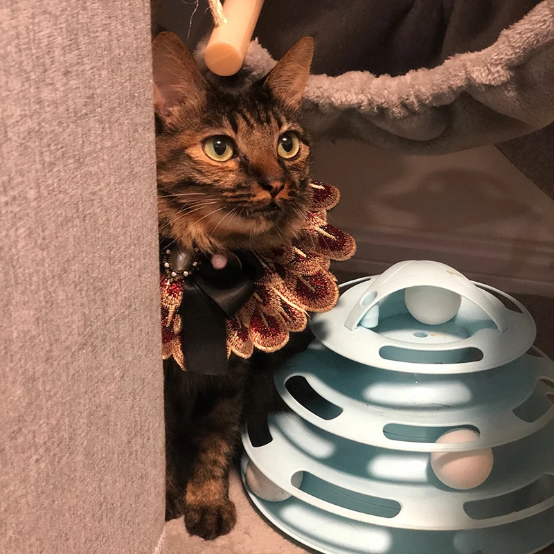 Аксессуары для домашних животных ошейник ручной работы маленьких собак собачий