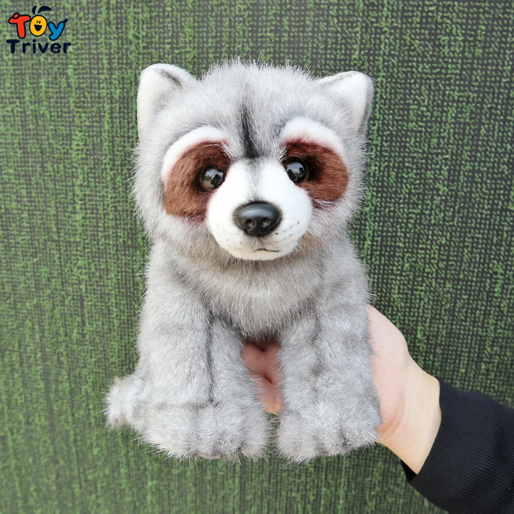

Kawaii Енот плюшевые игрушки мягкие дикие животные куклы Дети Малыши Дети Мальчики Девочки Подарки на день рождения Домашний декор плоты плюши