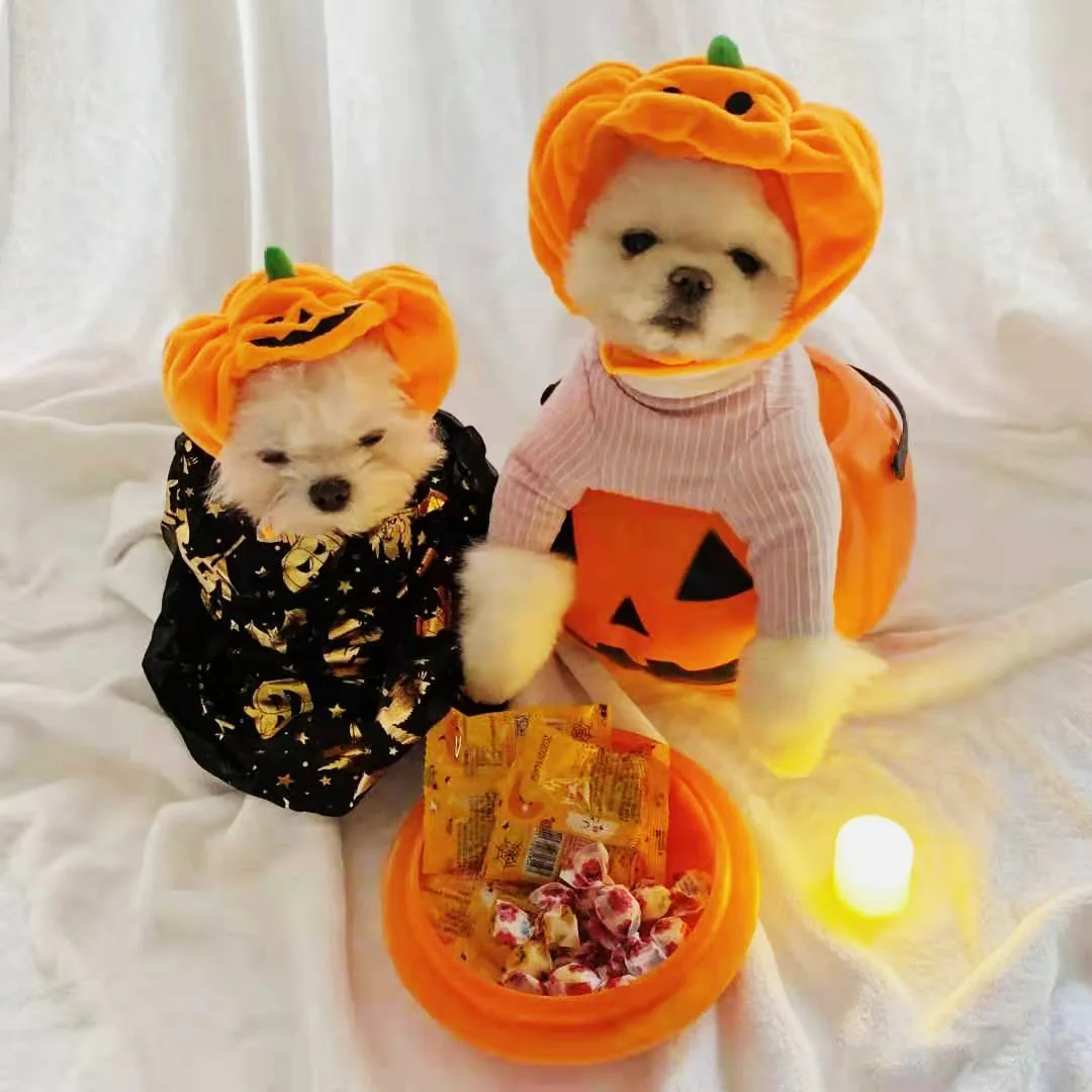 Cute Pet Hat Halloween Pumpkin Pet Dog Cat Hat Dress Up Headdress Small Dog Cat Cosplay Costume Decorative Hat Pet Accessoires