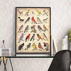 Винтажный постер с изображением птиц, Картина на холсте, красочные птицы на листе, настенные художественные принты, музыкальный подарок, украшение для офиса и дома