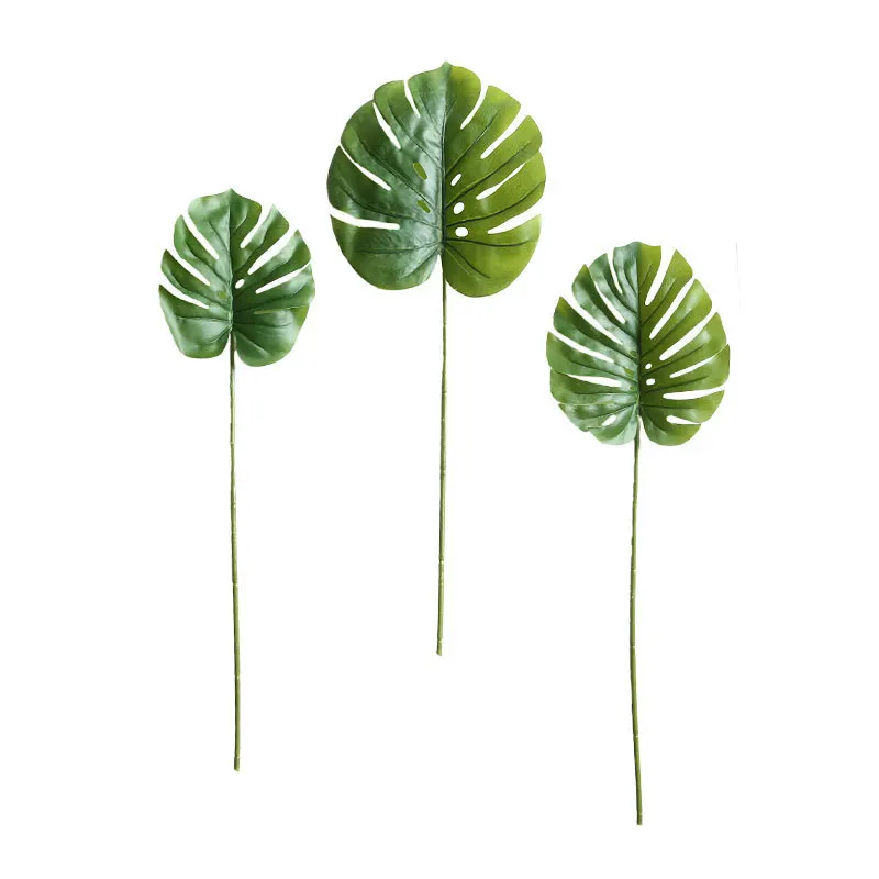 

Monstera Nordic Cross-Border Ins Mw63332
